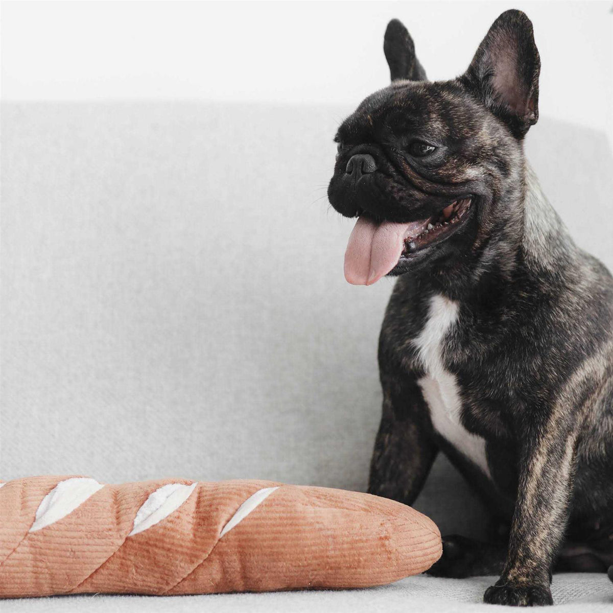 Dog Toy F37752