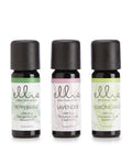 Essential Oil 3-Pack X614346