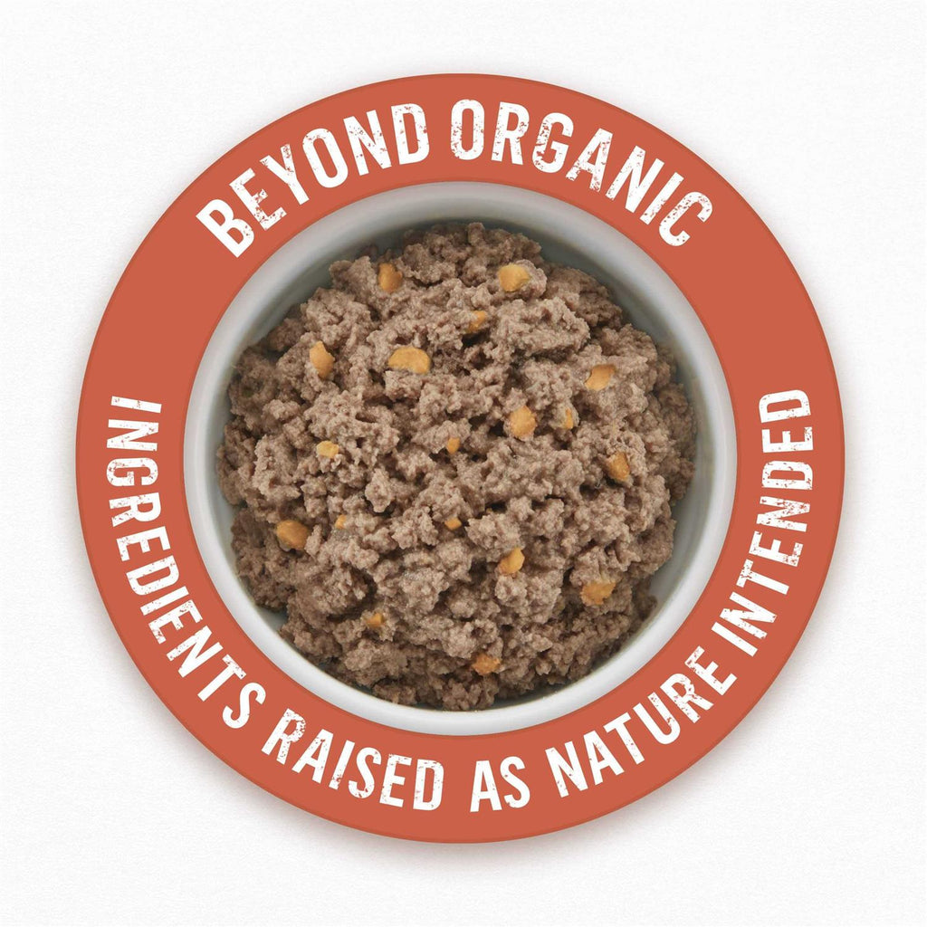 Organic Chicken Recipe Wet Dog Food T93633