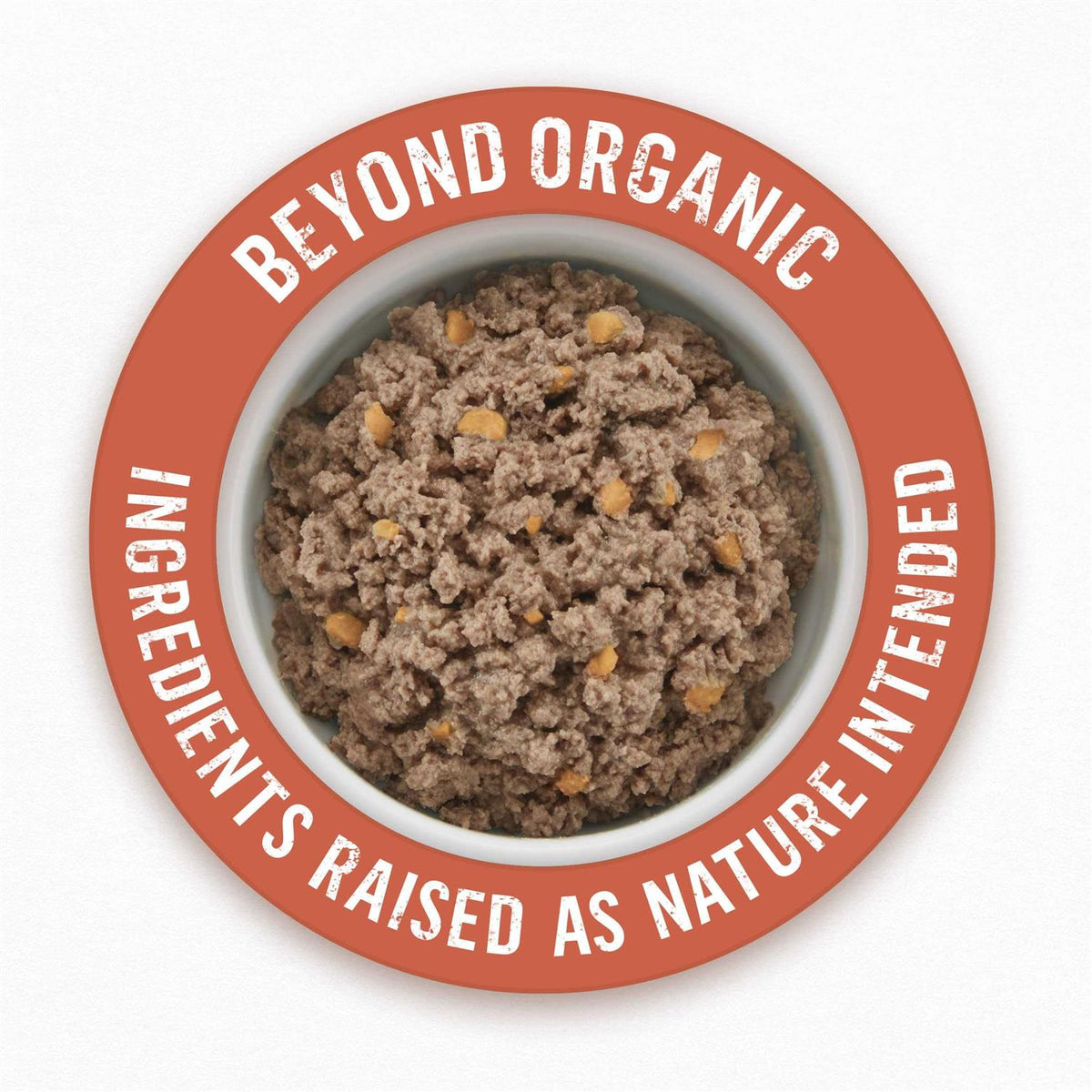 Organic Chicken Recipe Wet Dog Food T93633