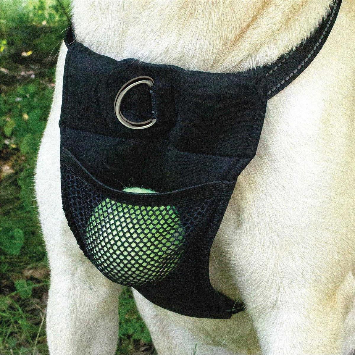 Harness G46530