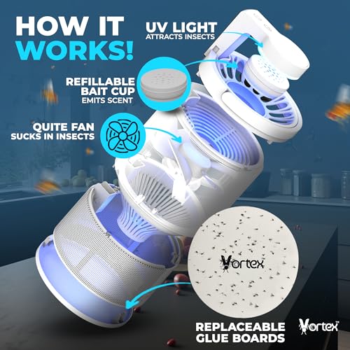Indoor Insect Trap UV Light Suction Glue Board Bug Light Fruit Fly Trap (Black) H6664