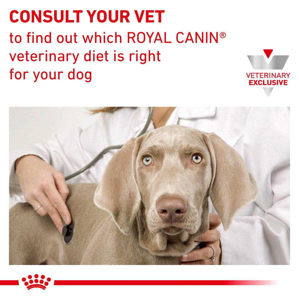 Veterinary Diet Canine Dental Medium & Large Breed Dry Dog Food S8818