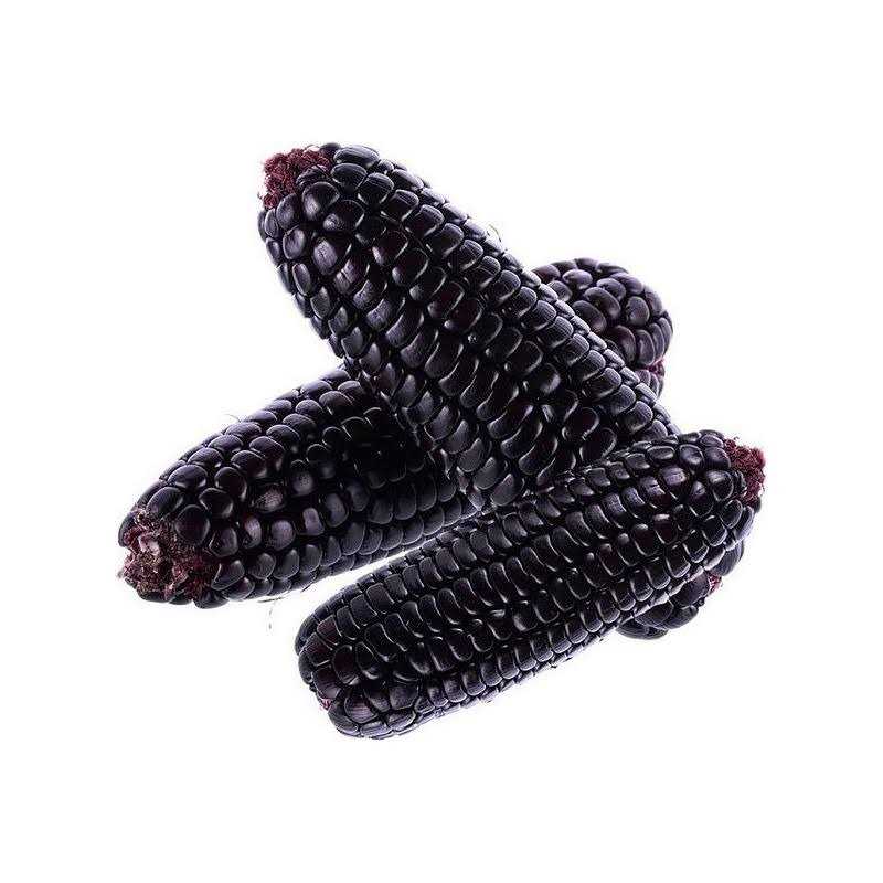 Purple Corn Cob H2829
