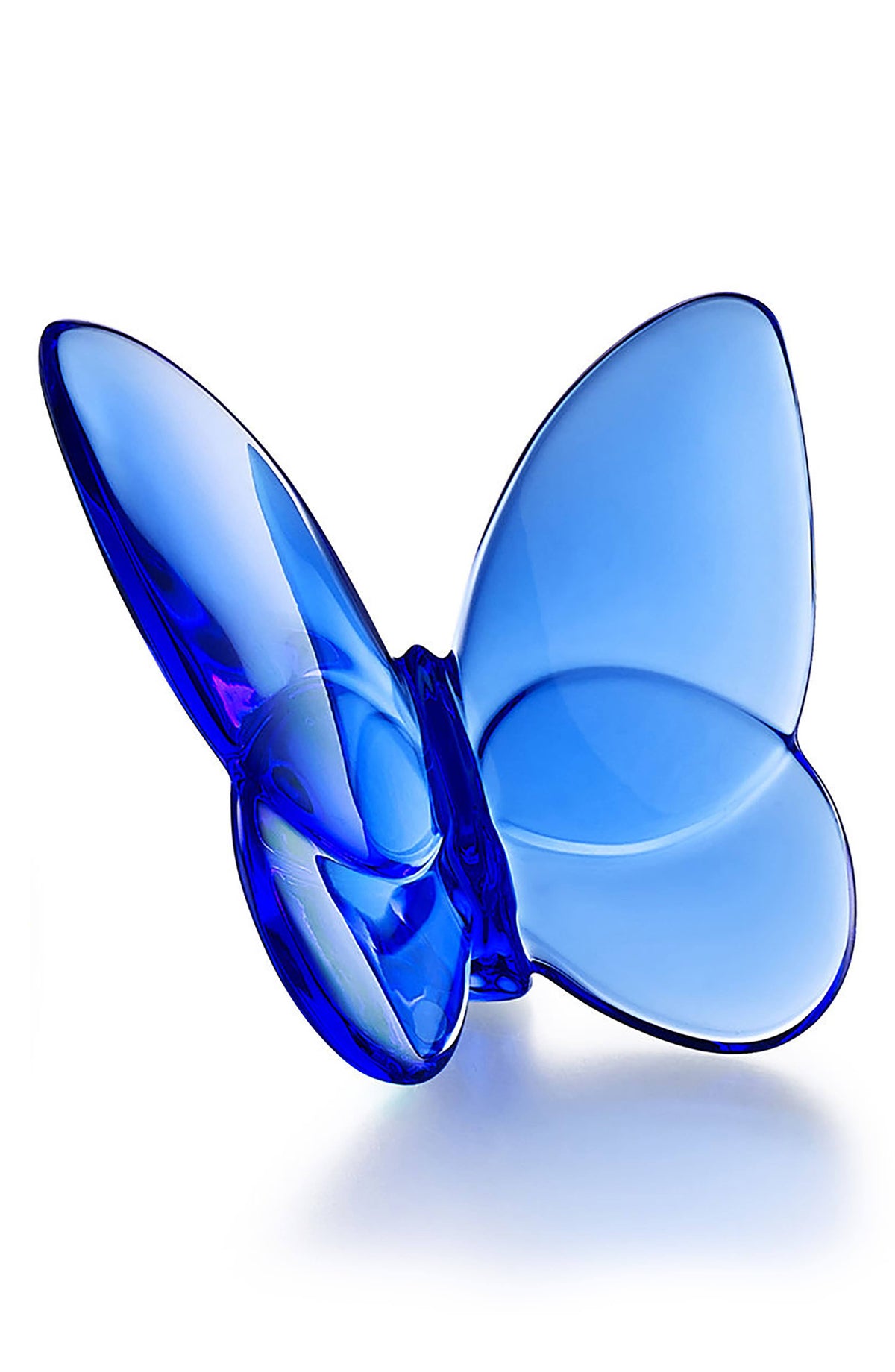 Blue Butterfly D93777
