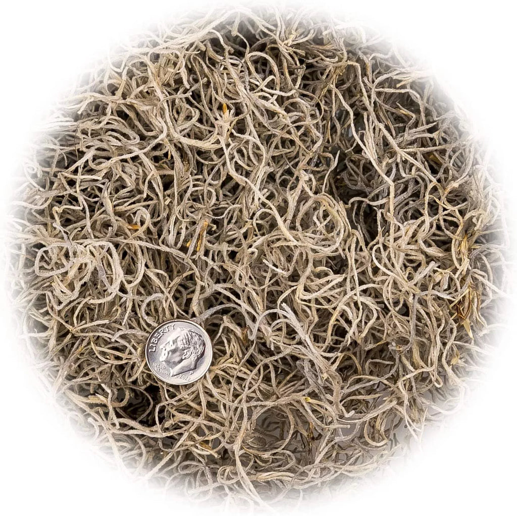 Natural Spanish Moss, 3 Quart Bag X3407