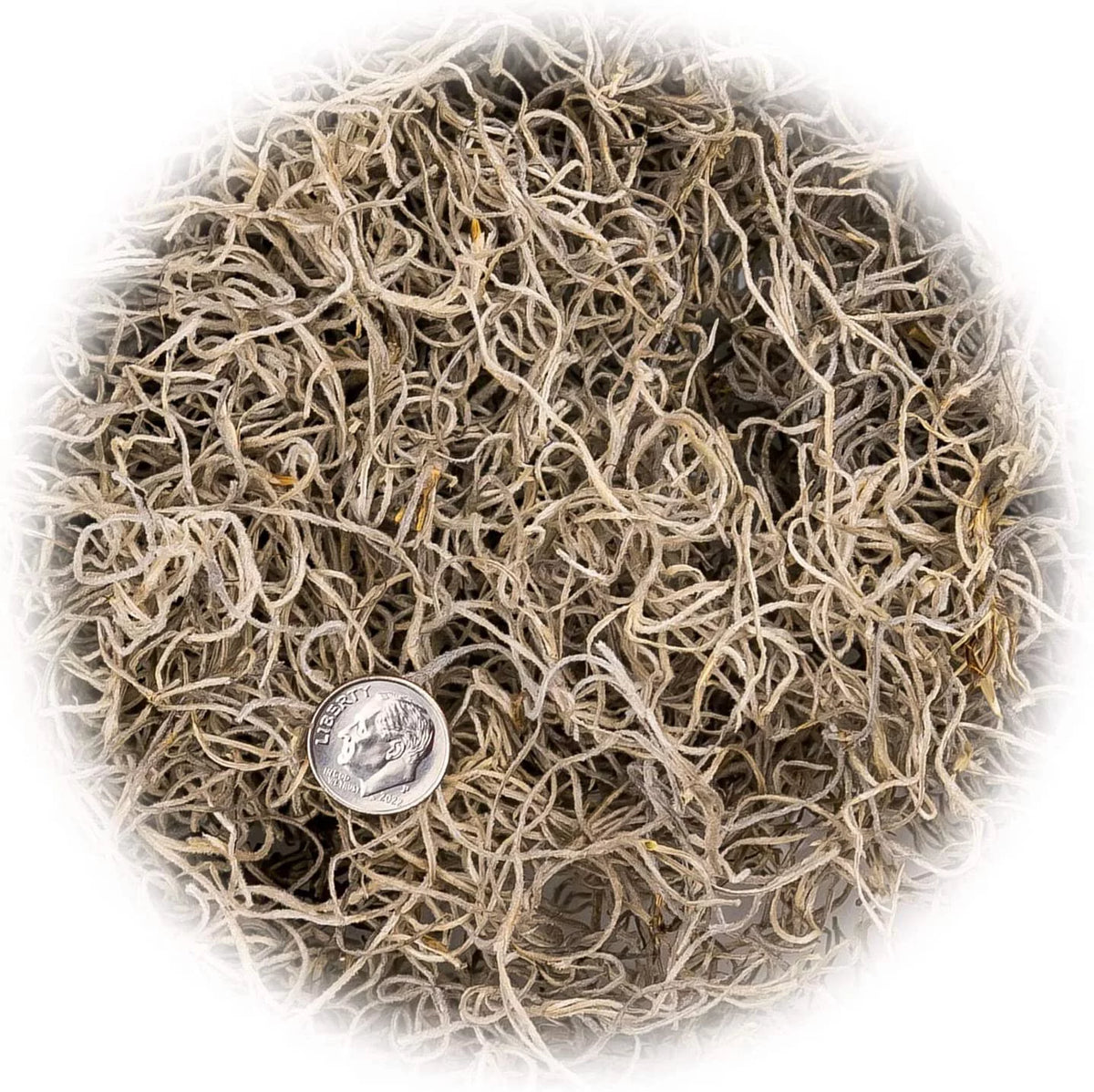 Natural Spanish Moss, 3 Quart Bag X3407