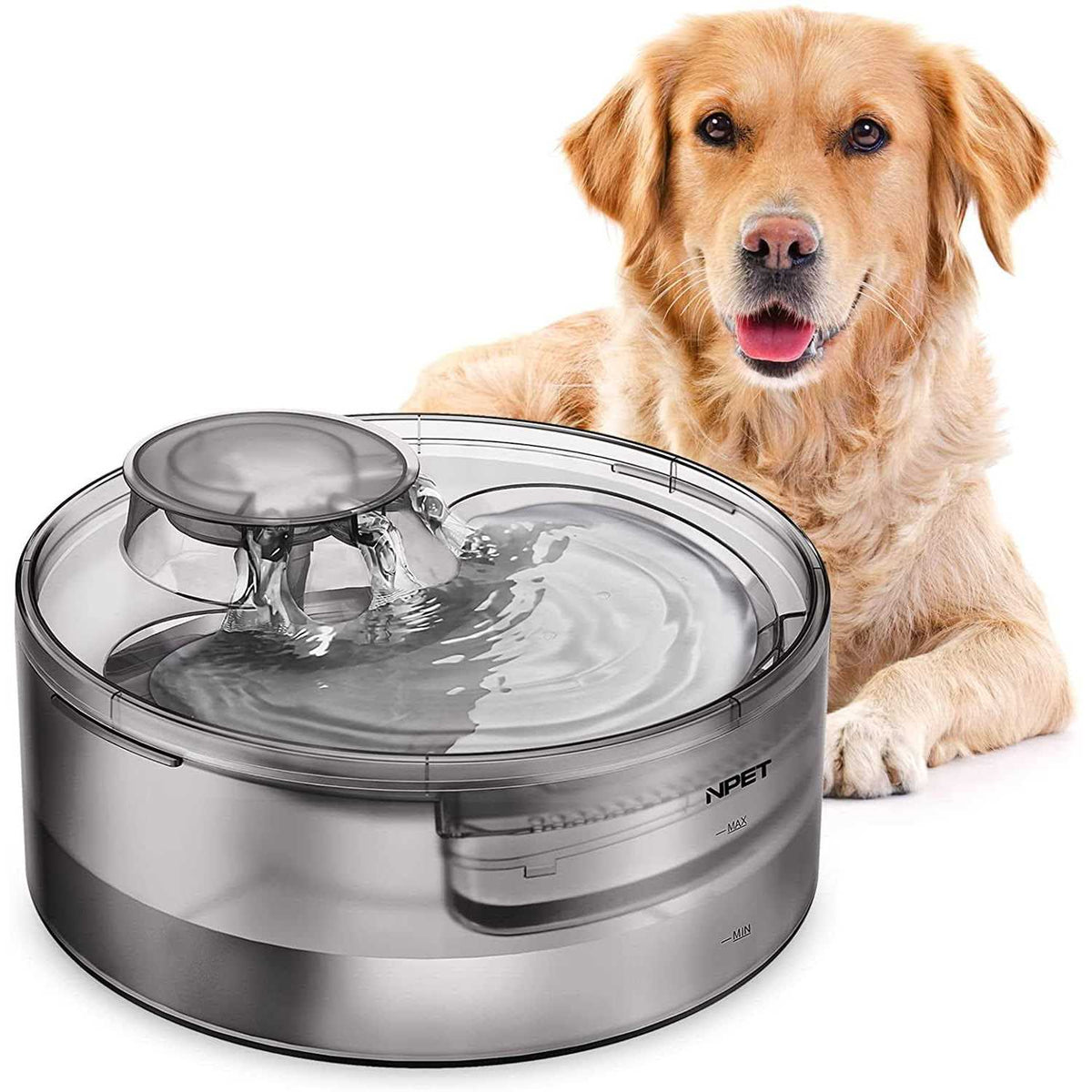 Automatic Dog Water Fountain 1.3 Gallon R464798