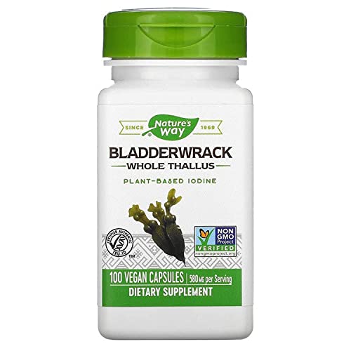 Bladderwrack Whole Thallus 580 mg 100 Count Pack of 2 L782