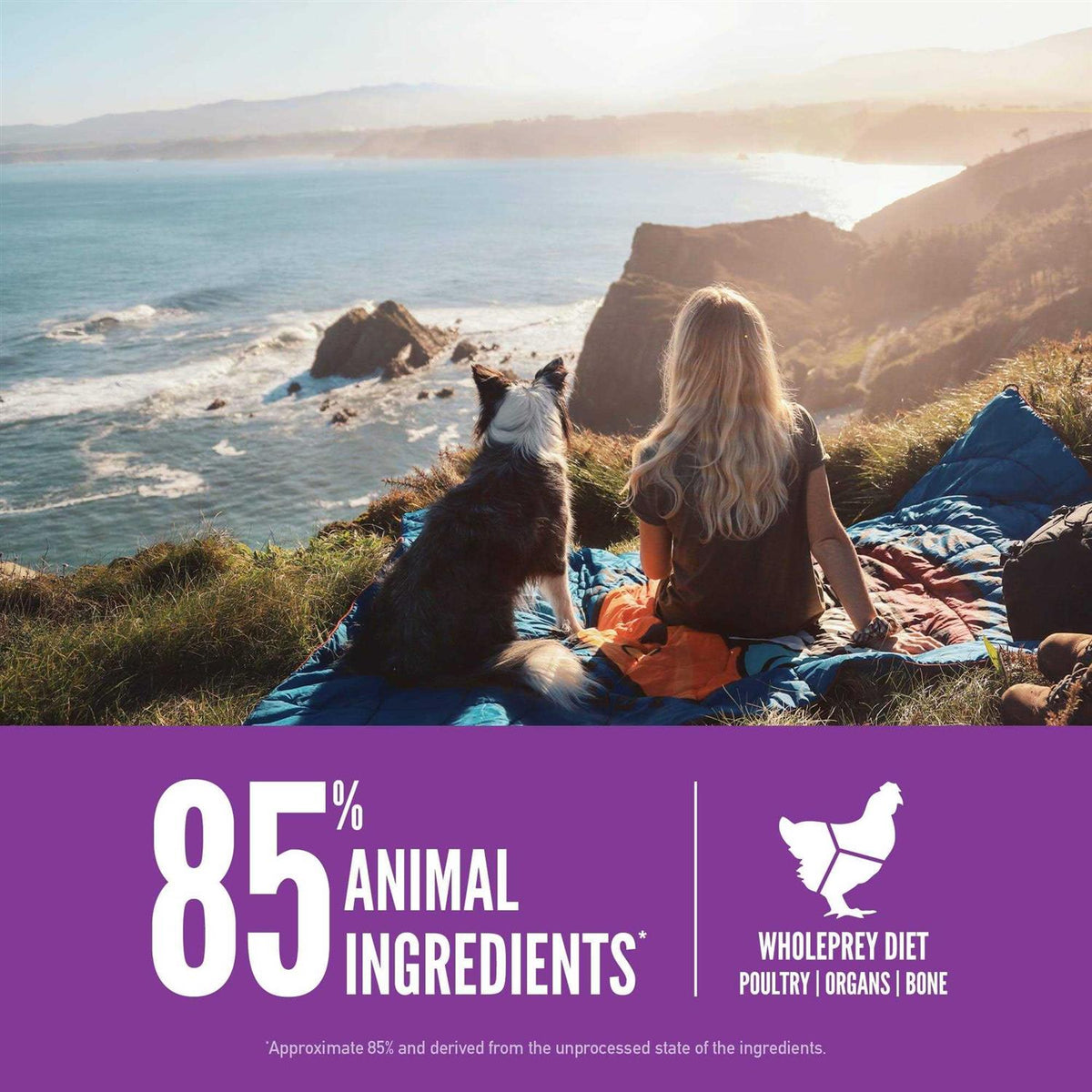 Large Breed Dry Dog Food A8387