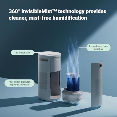 Air Purifier for Small Room, Bedroom, Home U545