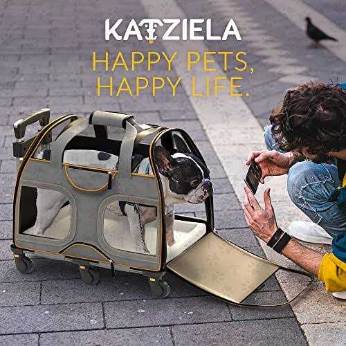 Pet Carrier with Removable Wheels and Double Telescopic Handle F676038