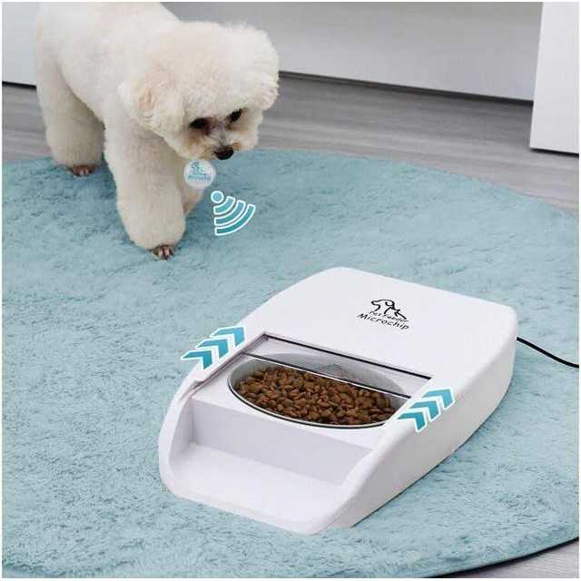 Automatic Microchip Pet Feeder C643