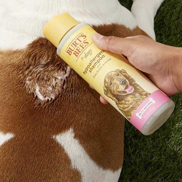 Shampoo H248