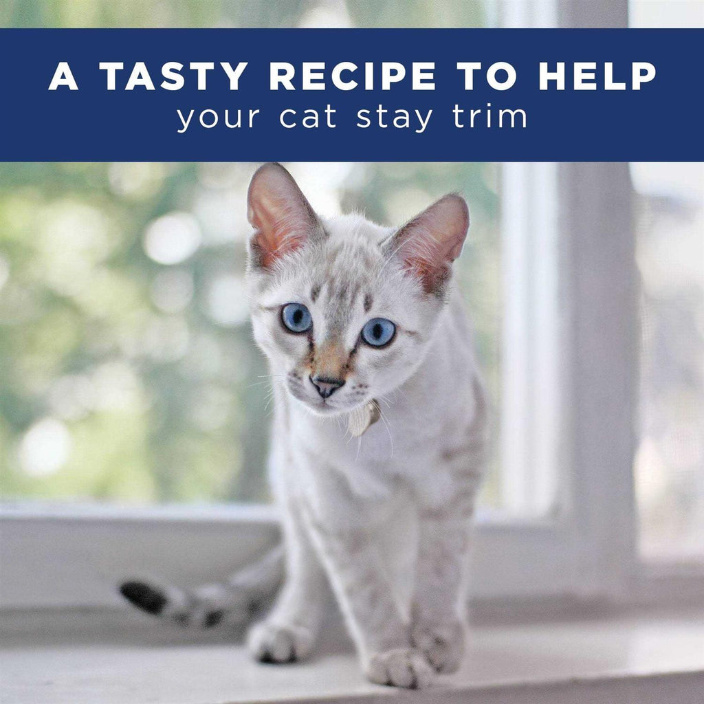 Adult Dry Cat Food S451393