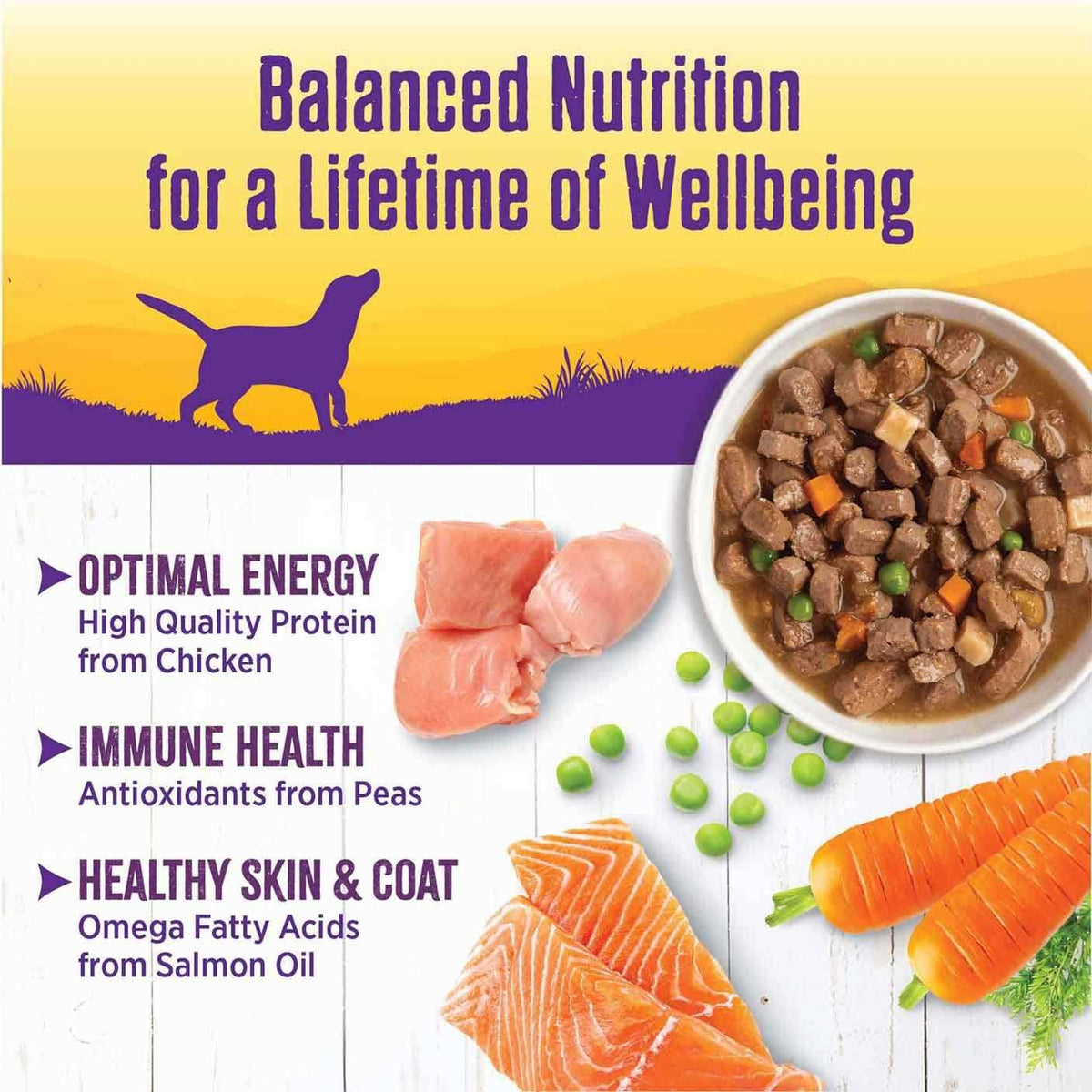 Grain Free Chicken Stew with Peas & Carrots Dog Food M488