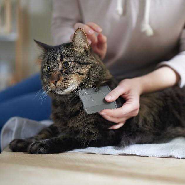 Flea Comb for Cats & Dogs R772036