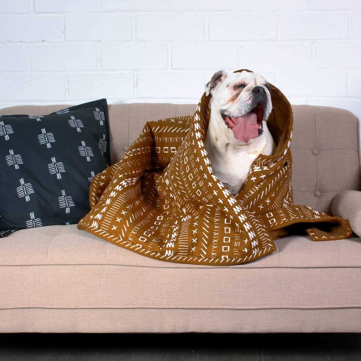 Blanket B2220
