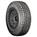 All-Season Tire H25199