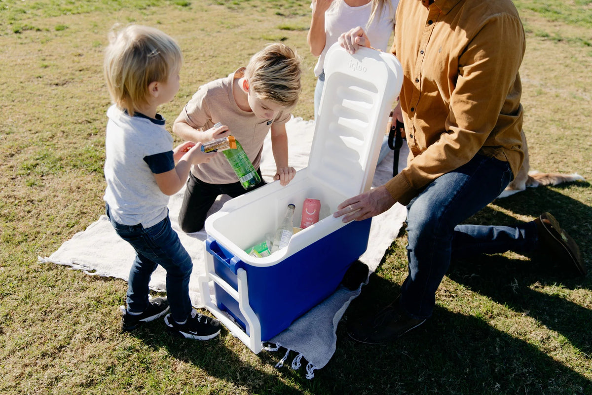 38 QT. Hard-Sided Ice Chest Cooler with Wheels, Blue Q589479