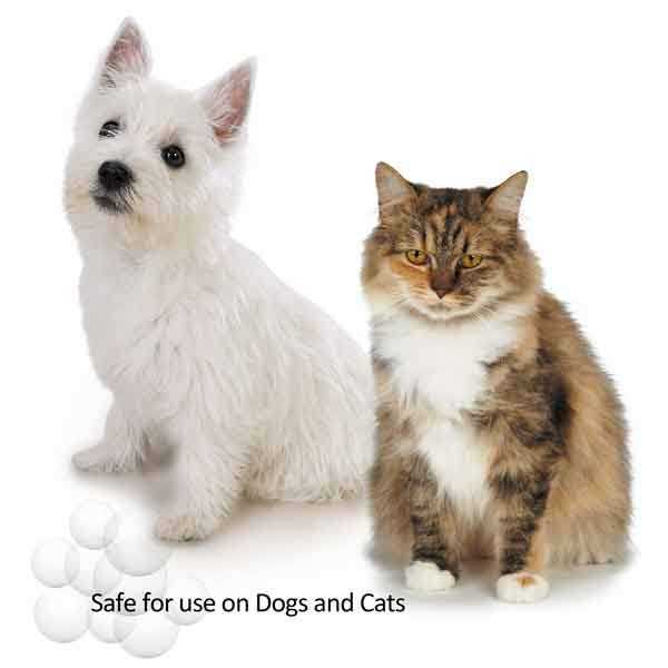 Oatmeal & Baking Soda Shampoo O2647