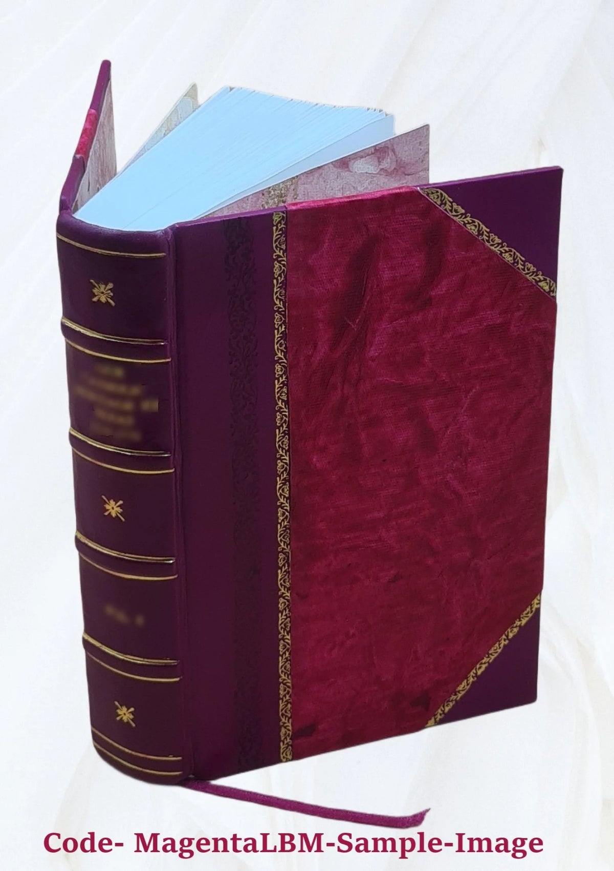 Leather Bound Book N677086