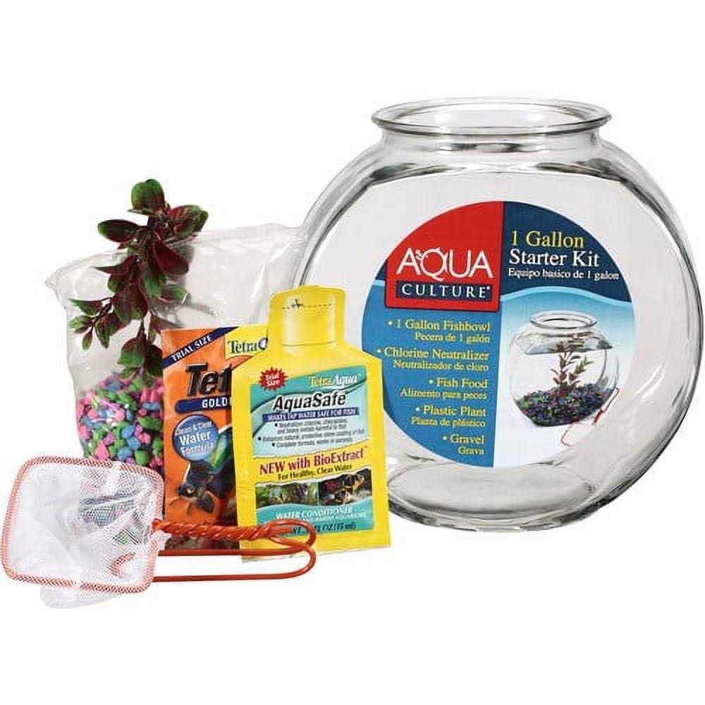 Glass Fish Bowl with Starter Kit A4770