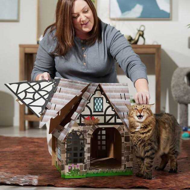 Cardboard Cat House L203791
