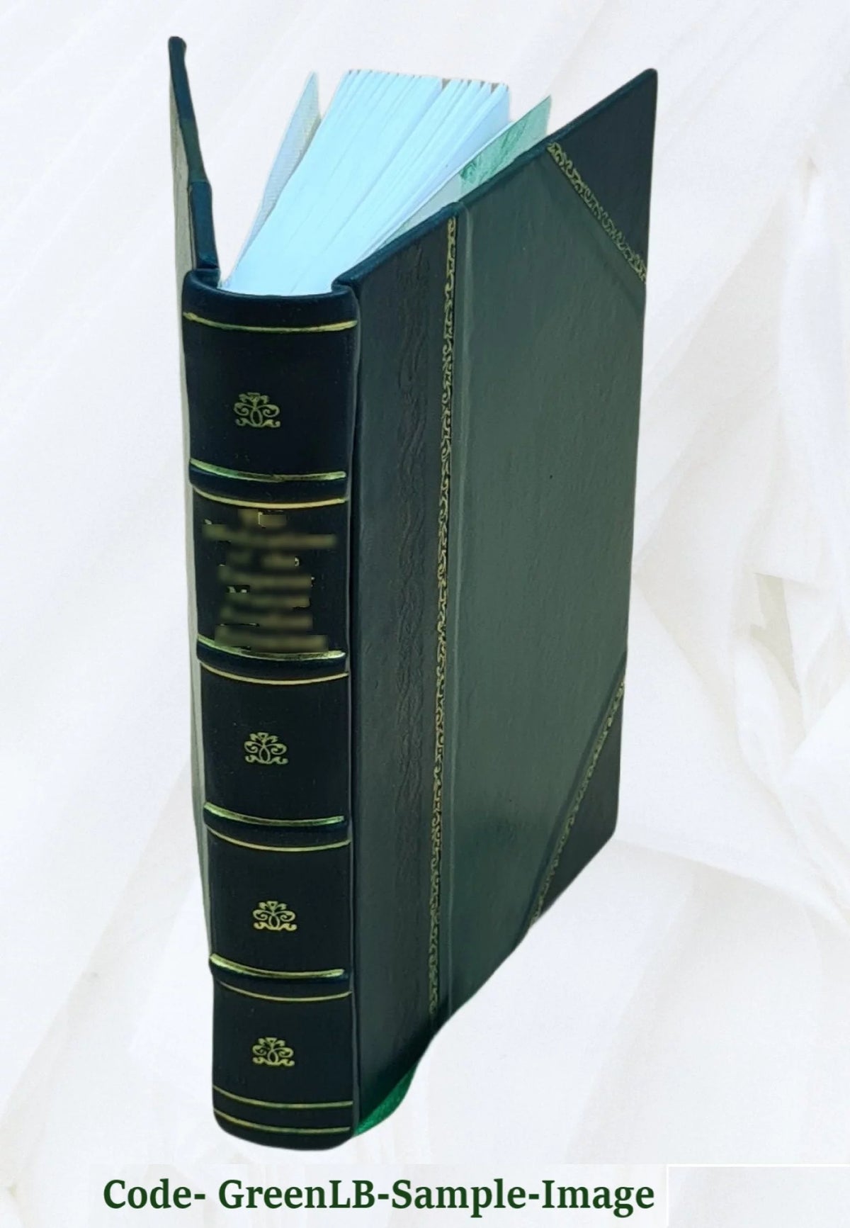 Cheap Healthy Rational Diet Volume 1 1908 Leather Bound E889074