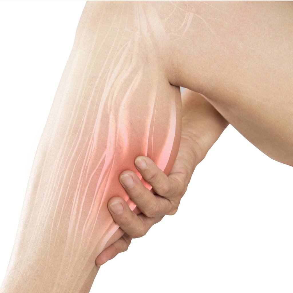 Circulation Support Supplement 30 Tablets Y29403